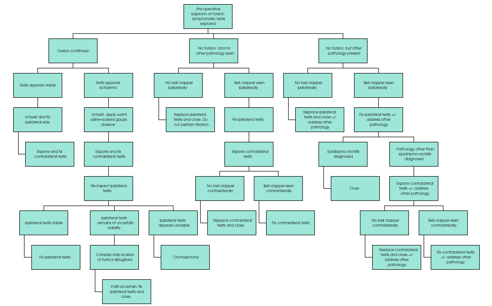 Flow chart for recommended decision making intra-operatively, based on appearance of symptomatic testis